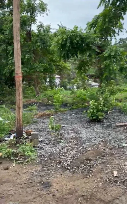 Main Photo - Real Estate | Land For Sale | Land For Sale In A Well-Developed Area At Mile 2 - Limbe, Mile II, Limbé, Cameroon