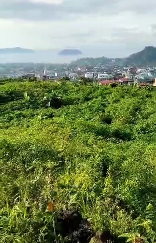 Main Photo - Real Estate | Land For Sale | Land For Sale – Krata (Bojoke New Layout), Krata Native Village, Limbé, Cameroon