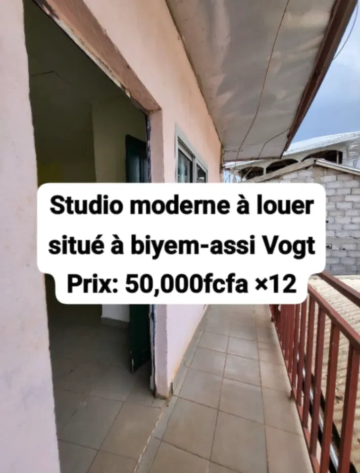 Photo Principale - Immobilier | Maison À Louer | Studio, Biyemassi, Yaoundé, Cameroun