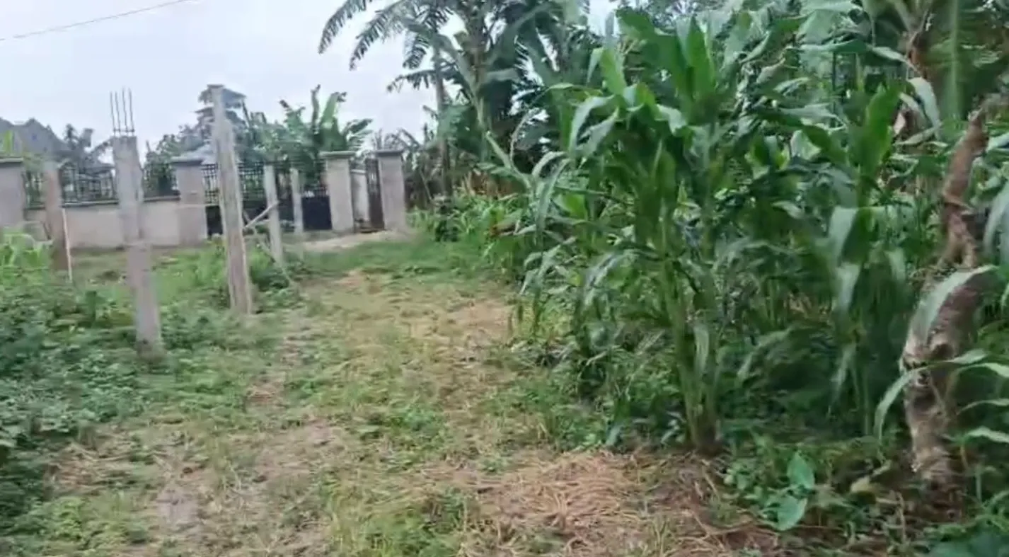 Main Photo - Real Estate | Land For Sale | Land For Sale In Buea – Small Soppo Wolikawo 🏡, Small Soppo Wolikawo, Buea, Cameroon