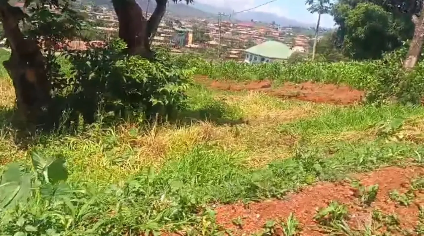 Main Photo - Real Estate | Land For Sale | Golden Opportunity – Land For Sale At Foncha Street Bamenda, Foncha Street, Bamenda, Cameroon