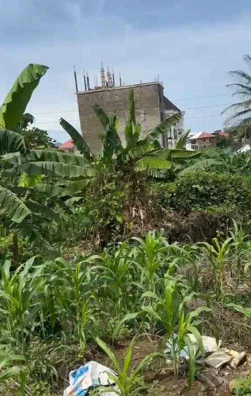 Main Photo - Real Estate | Land For Sale | Land For Sale At Ngeme – Limbe 🏡, Ngueme Village, Limbé, Cameroon