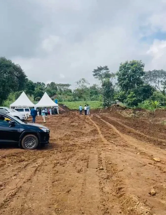 Main Photo - Real Estate | Land For Sale | 𝐋𝐀𝐍𝐃 𝐅𝐎𝐑 𝐒𝐀𝐋𝐄 𝐈𝐍 Bokwango - 𝐁𝐔𝐄𝐀 🔥, Bokwango, Buea, Cameroon