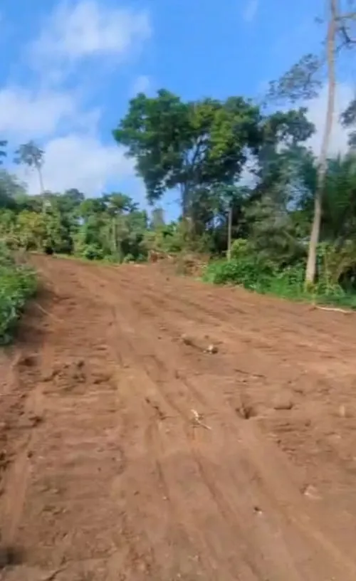 Image de la propriété