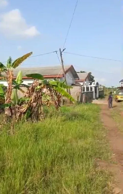 Land For Sale – Mile 17 (Behind Wdc Apart Hotel), Buea 🏡