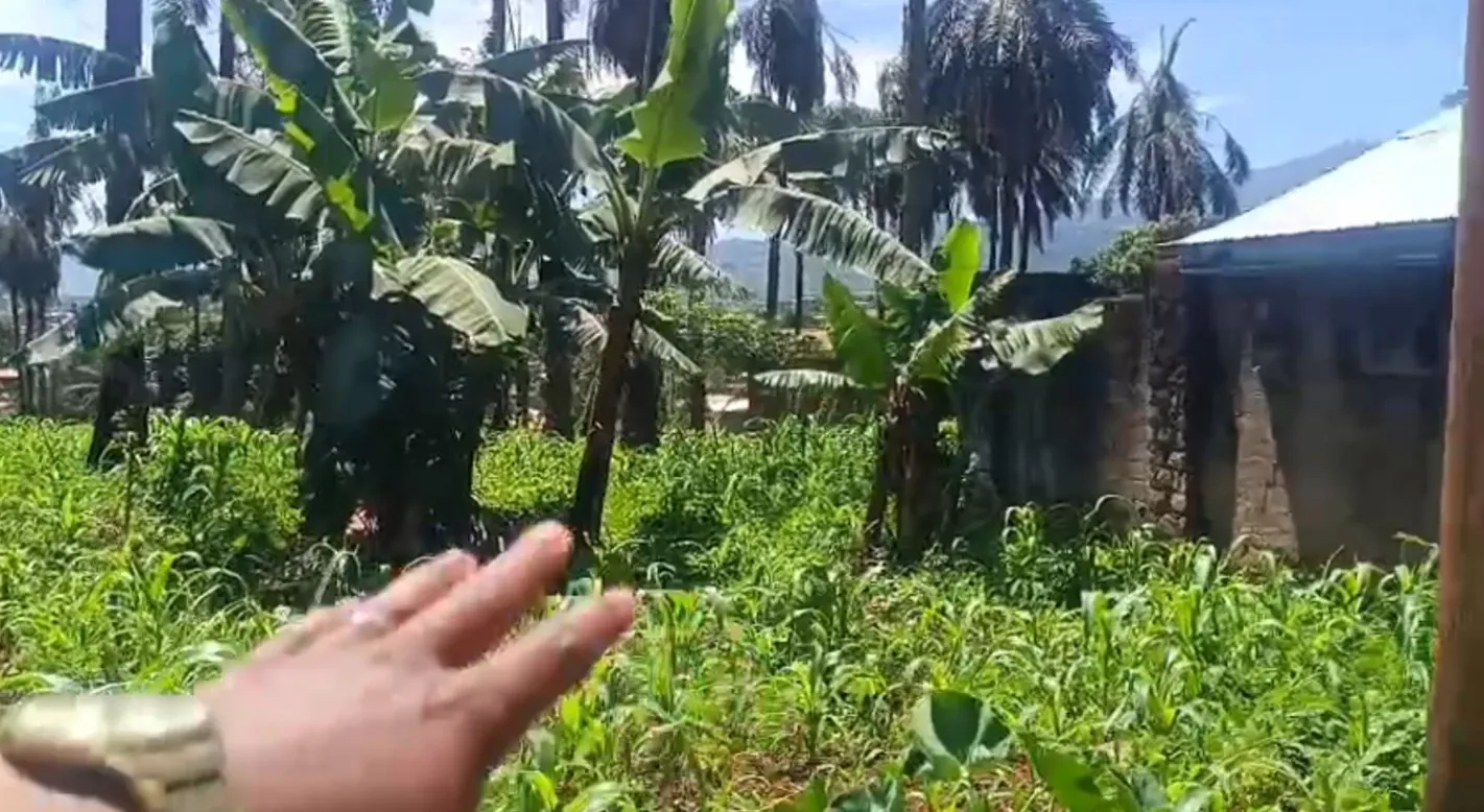 Good Plot Opportunity Available At Foncha Street - Bamenda