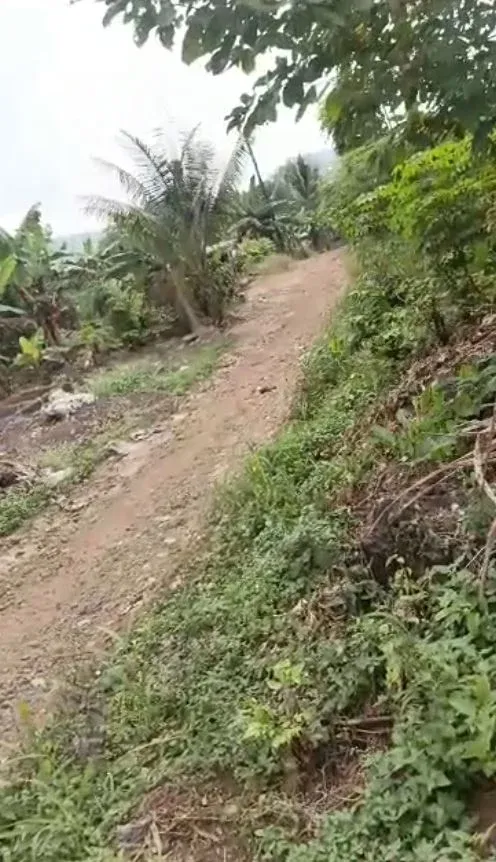 Residential Land For Sale – Limbe 🏡