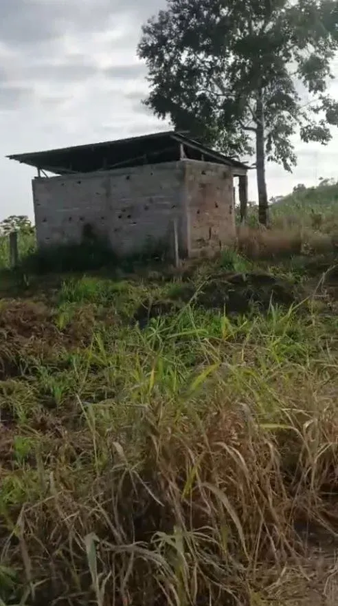 Photo Principale - Immobilier | Maison À Vendre | Prime Plot For Sale: Opposite Bir Checkpoint (Towards Bonjongo) 🚗, Bojongo Road, Limbé, Cameroun