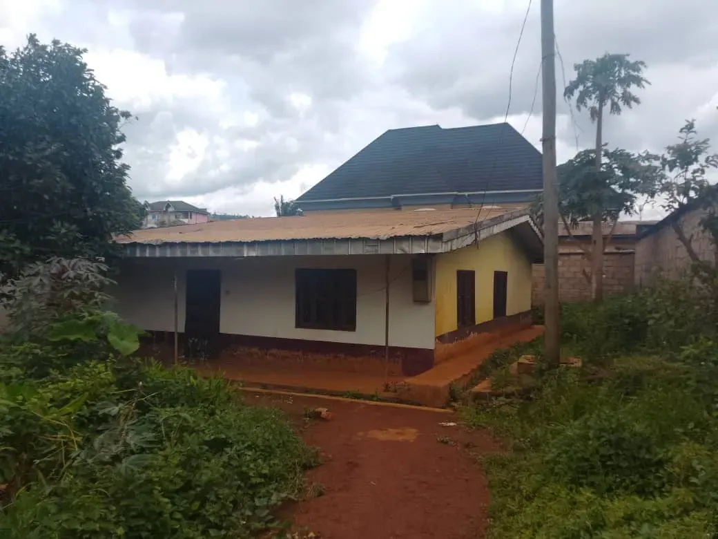 Main Photo - Real Estate | House For Sale | House For Sale – Farmers House, Mile 3 Nkwen, Bamenda, Farmers House, Mile 3 Nkwen, Bamenda, Cameroon