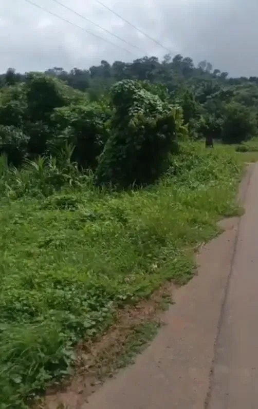 Main Photo - Real Estate | Land For Sale | Prime Plot For Sale In Limbe, neighborhood of Man-O-War Bay, Limbé, Cameroon