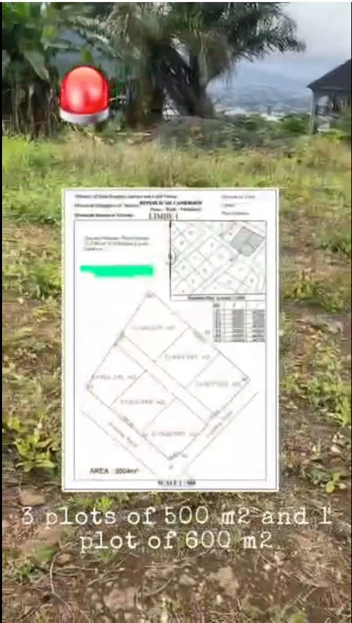 Image de la propriété