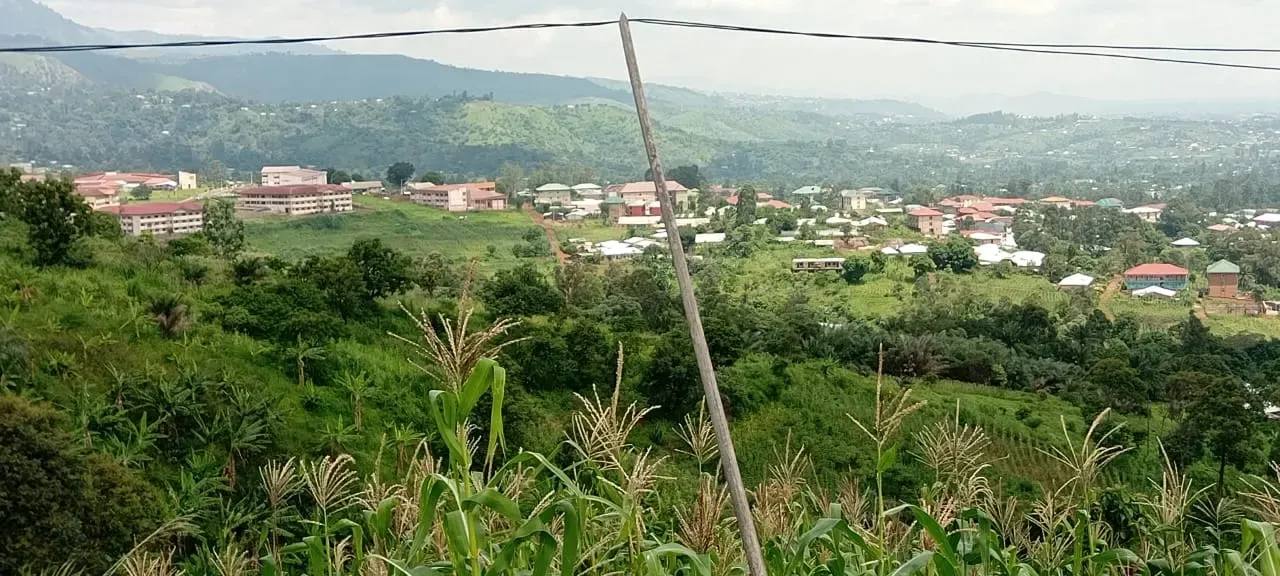 Main Photo - Real Estate | Land For Sale | Secure Your Place In One Of The Fastest Developing Areas Around The University Zone In Bamenda!, Atumankang Quarter, Bambui, Bamenda, Cameroon