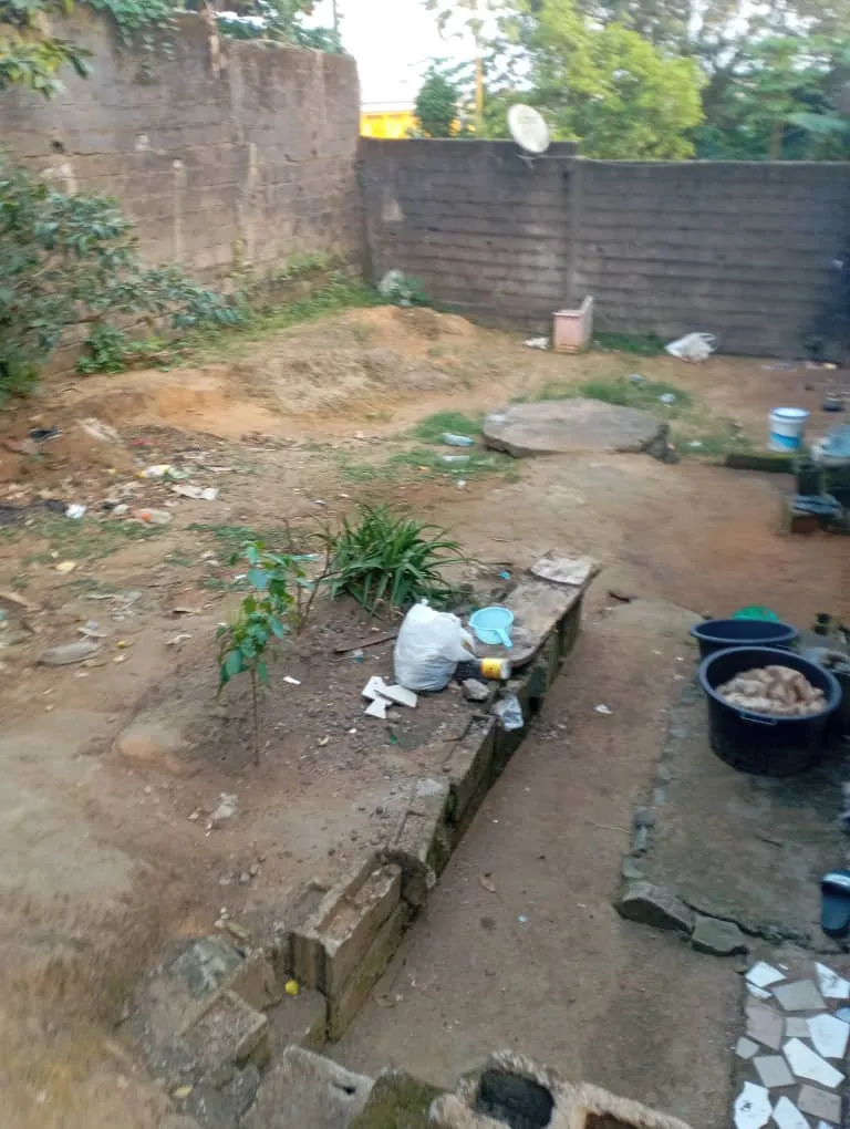 Photo Principale - Immobilier | Terrain À Vendre | Land For Sale In Dogbong Residential Area, Dogbong, Douala, Cameroun