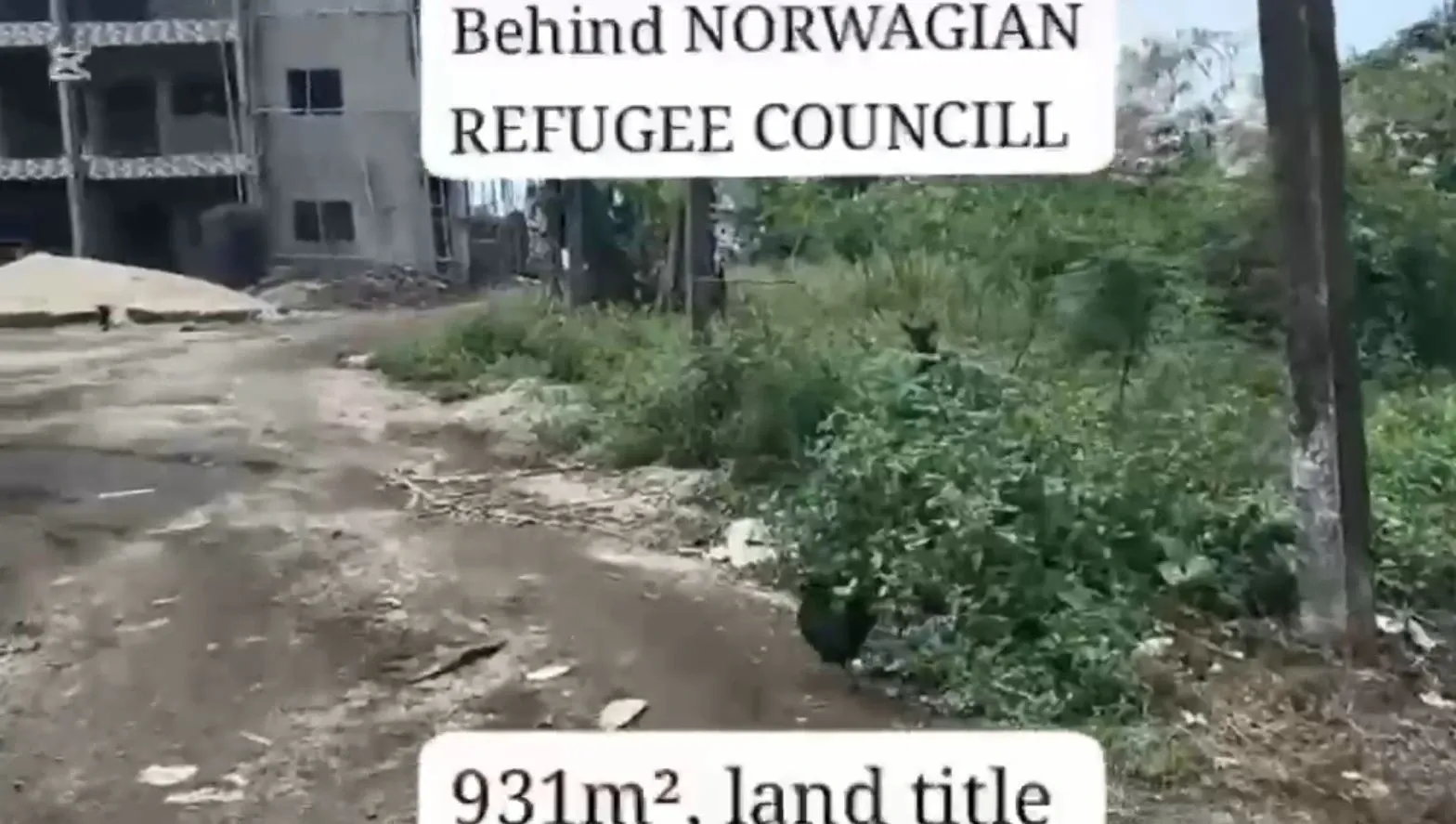 Main Photo - Real Estate | House For Sale | Sweet Good Deal Available – Camsic (Behind Norwegian Refugee Council), Camsic (Behind Norwegian Refugee Council), Buea, Cameroon