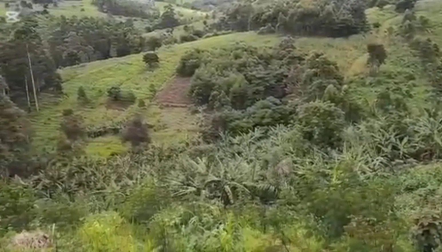 Image de la propriété