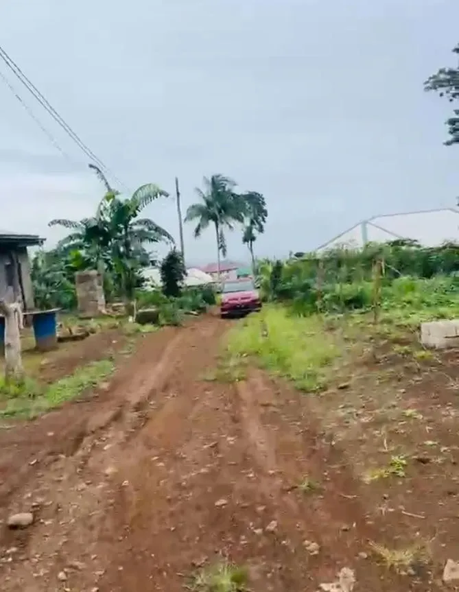 Main Photo - Real Estate | Land For Sale | Prime Land For Sale – Bonduma Gate!, Bonduma, Buea, Cameroon