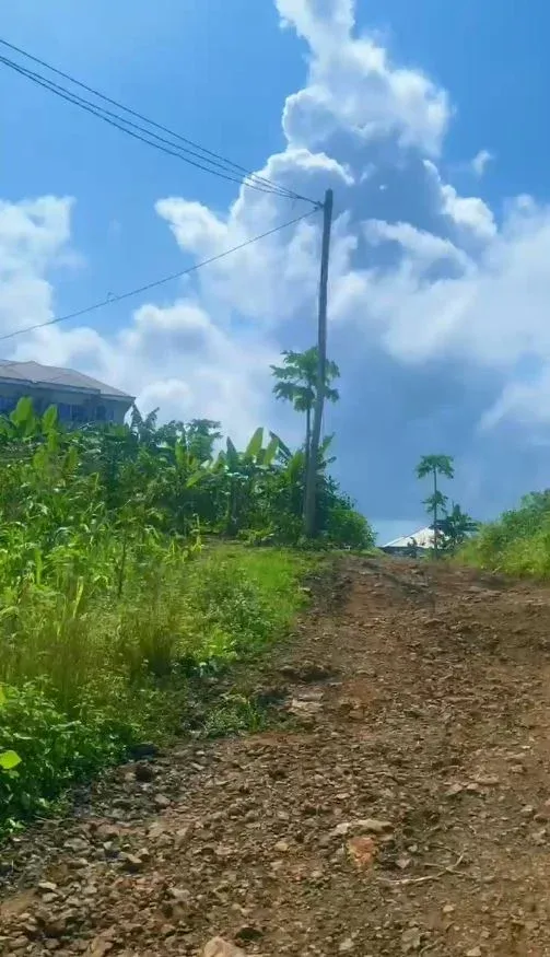 Photo Principale - Immobilier | Terrain À Vendre | Good Deal Of The Week – Land For Sale In Limbe! 🔥, Behind GHS Limbe, Limbé, Cameroun