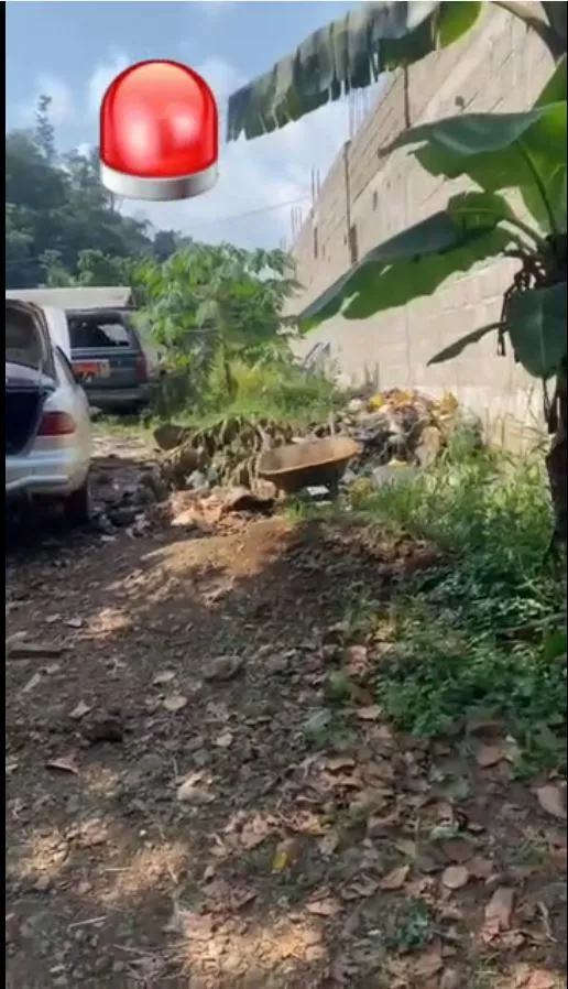Photo Principale - Immobilier | Terrain À Vendre | Land For Sale At Cité Sic Limbe, Sité SIC, Limbé, Cameroun